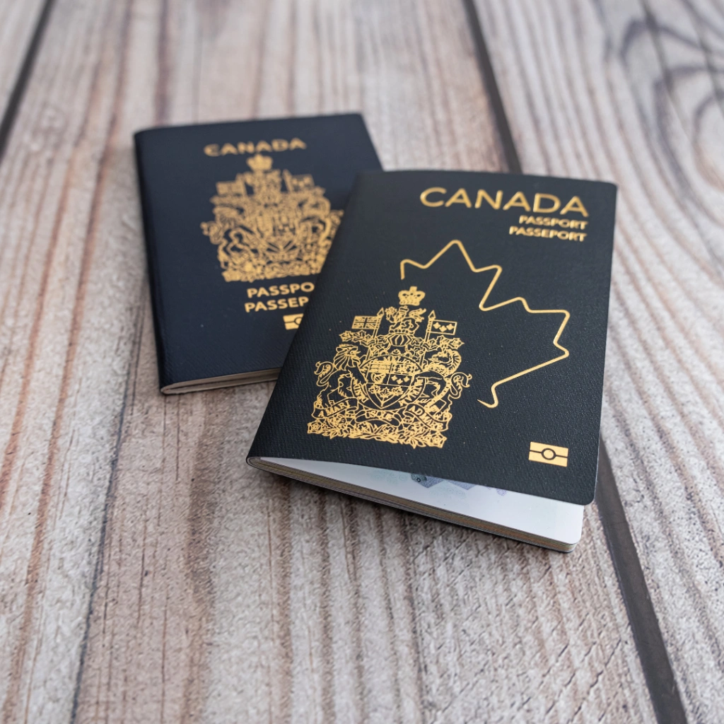 2026 Immigration Pathways to Canada - A Brief Overview